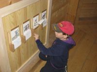 IMG_4754.JPG