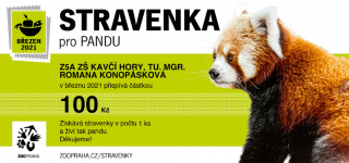 Panda.png
