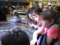 IMG_1866.JPG