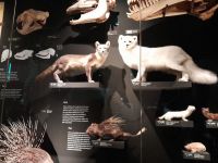 IMG-20221019-WA0025.jpg