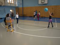 P6258355.jpg