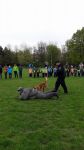 18302407_10210407119106683_1610798033_n.jpg