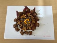 ec7deaca-de08-437b-a558-9a3535e989a7.jpeg