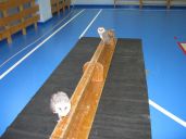 dravci ve skole07.jpg