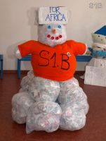 S1B.jpg