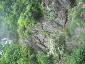 IMG_2423.jpg