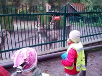 IMG_20131011_093127.jpg