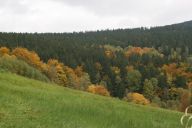 HS080008.jpg