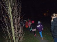 PB180048.JPG