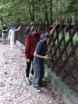IMG_20140624_202040.jpg