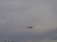 PB050045.JPG