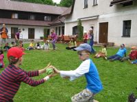 IMG_4462.JPG
