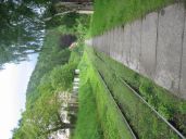 IMG_2453.jpg