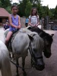 IMG_20140618_115802.jpg