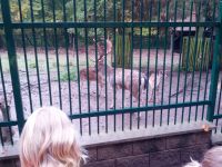 IMG_20131011_093150.jpg