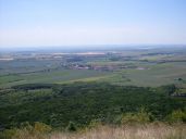 SDC15564.JPG