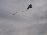 PB050040.JPG