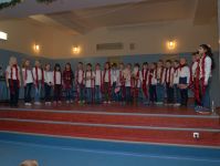 PC099397.ORF.jpg