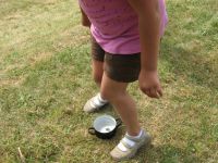 IMG_2737.JPG