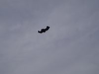 PB050012.JPG