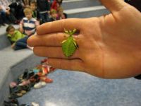 IMG_1574.JPG