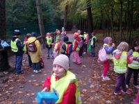 IMG_20131011_092910.jpg