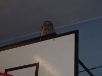PC020037.JPG