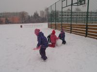 P1060032.JPG