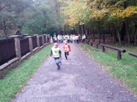 IMG_20131011_093849.jpg