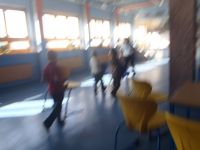 P3200050.JPG