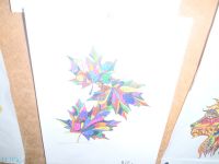 PB100585.JPG