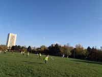 PA310037.JPG