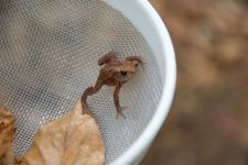 DSC_0048.jpg