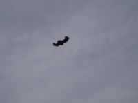 PB050012.JPG