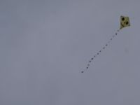 PB050036.JPG