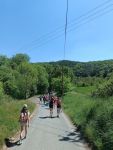 IMG_20240515_123242.jpg
