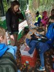 IMG-20171011-WA0028.jpg