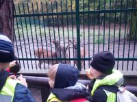 IMG_20131011_093050.jpg