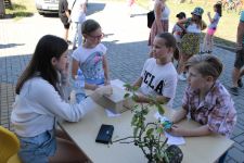 IMG_3293.JPG