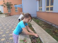 P9150008.JPG