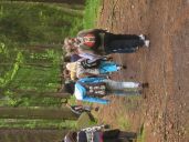 IMG_2432.jpg