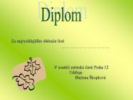 diplom3.jpg