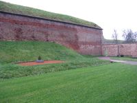 IMG_4319.JPG