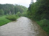 IMG_2409.jpg