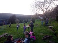 CameraZOOM-20170517193108038.jpg