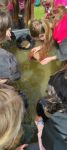 IMG-20250514-WA0061.jpg
