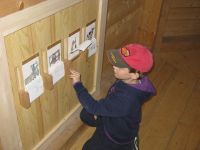 IMG_4754.JPG