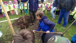 IMG-20171025-WA0012.jpg