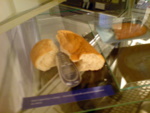 DSC01674.JPG