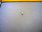 IMG_0205.JPG